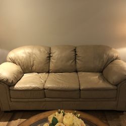 Leather Sleeper Sofa - Full Size