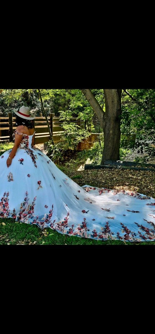 Quinceanera Dress With Hoop