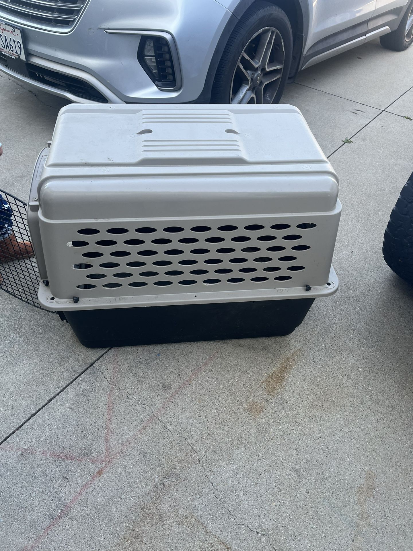 Dog Kennel