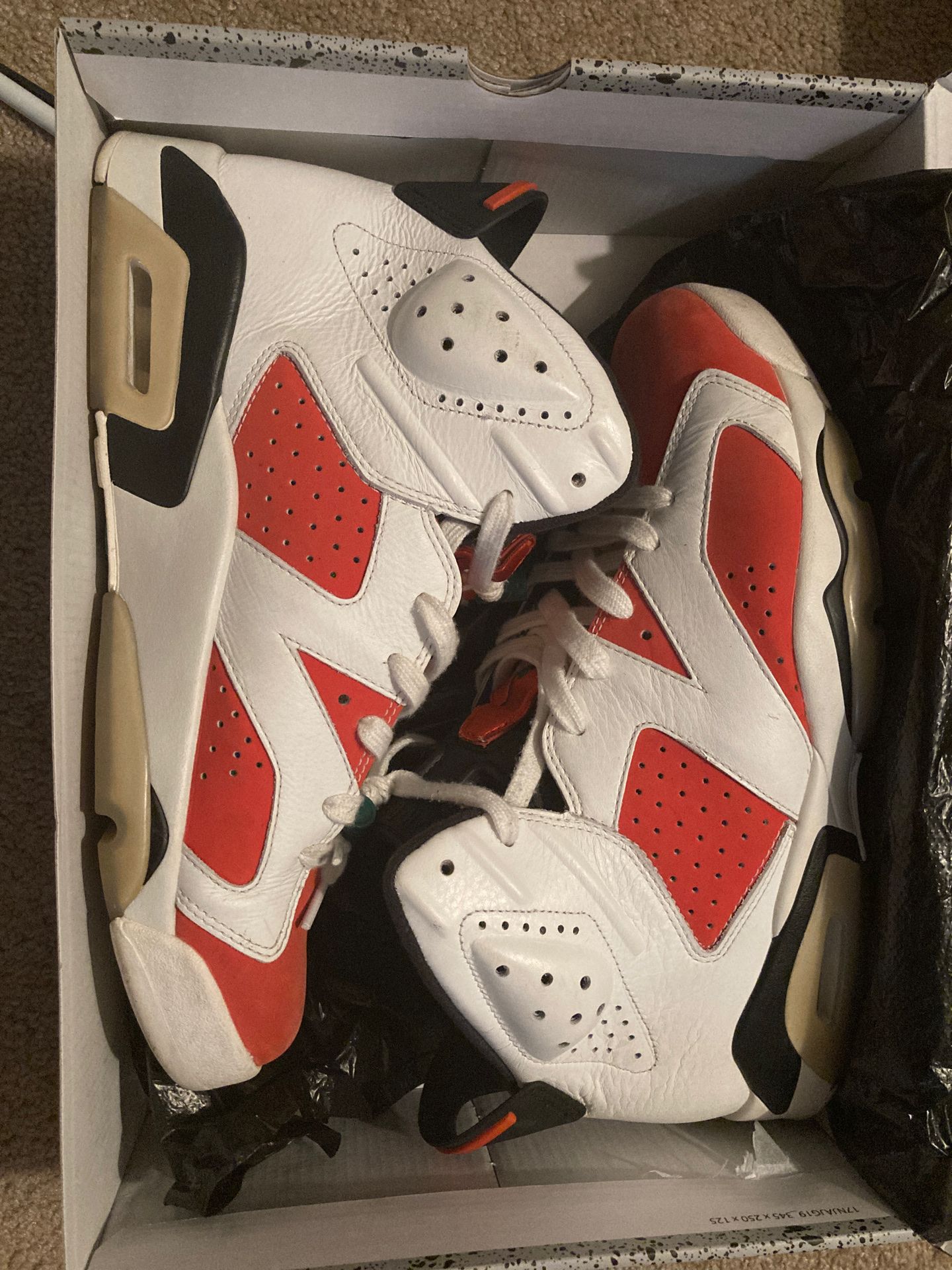 Jordan 6 “Gatorade”