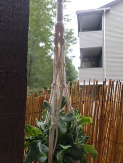 Macrame Plant Hanger
