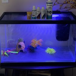 30 Gallon Fish Tank, Light, 2 Filters, Decorations, Food, Water Clarifier & Conditioner