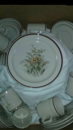 Japan Desert Flower #1055 Full Dish Set