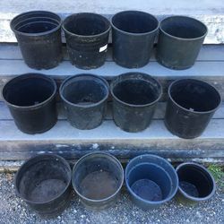 Lot of 12 Assorted Garden Flower Nursery Landscaping Pots