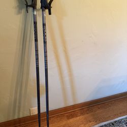 Ski Poles 50”