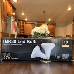 BR30 LED Bulbs