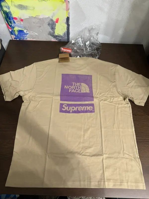 Supreme The North Face S/S Top Size S