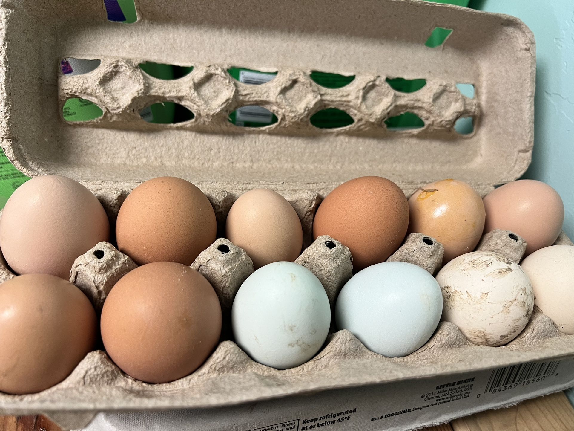Fresh Eggs