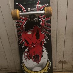 Tony Hawk Skateboard 