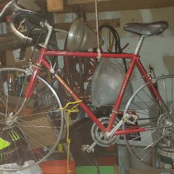 Bianchi (12) Speed Bike