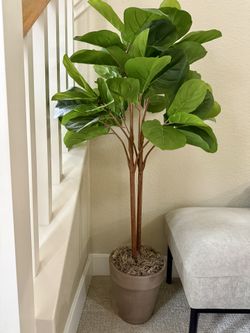 Pottery Barn Faux Fiddle Leaf Tree