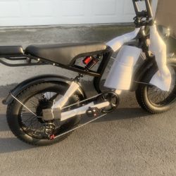 NEW BLUVALL DOUBLE SEAT ELECTRIC BIKE