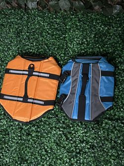 Swimming Best For Pets