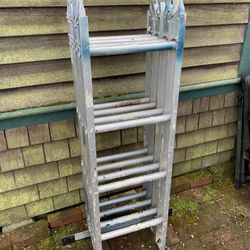 12 Foot Foldable Ladder