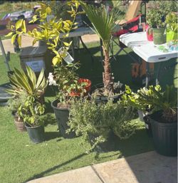 5302 GLACIER SPRINGS DR. HUGE LIQUIDATION SALE