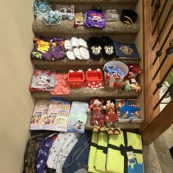 Brand new exclusive Disney Parks items-$20 each or all for $300. Prices are firm. Higley and ray. 