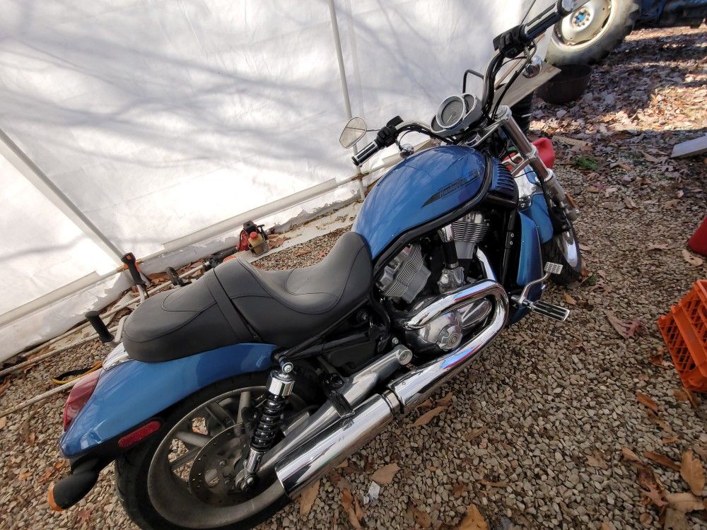 2005 Harley V-ROD