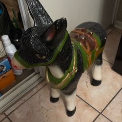 Burrito Para La yarda Bonito 