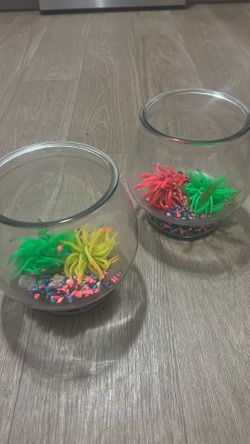 2 Glass 1.5 Gallon Fish Bowls 