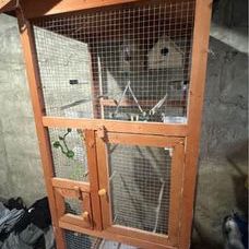 bird Cage 