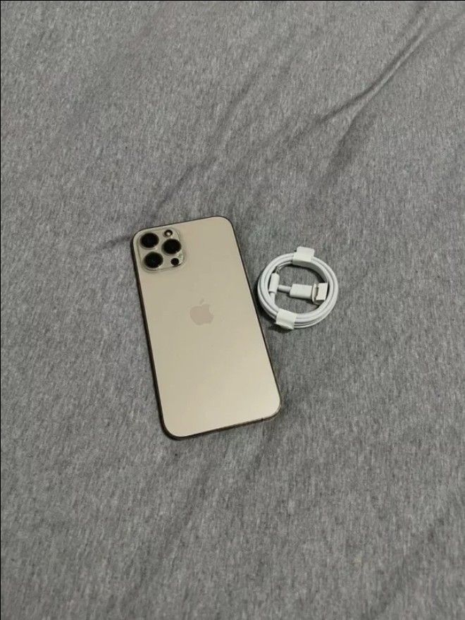 Iphone 12 Pro Max