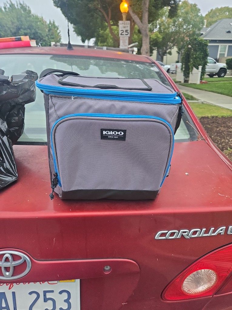 Small IGLOO Cooler
