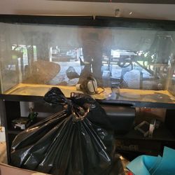Large 40 Gal Versatile Tank 