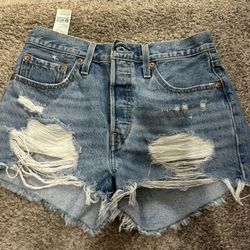 Women’s Shorts