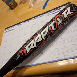 Usa Stamped Baseball Bat