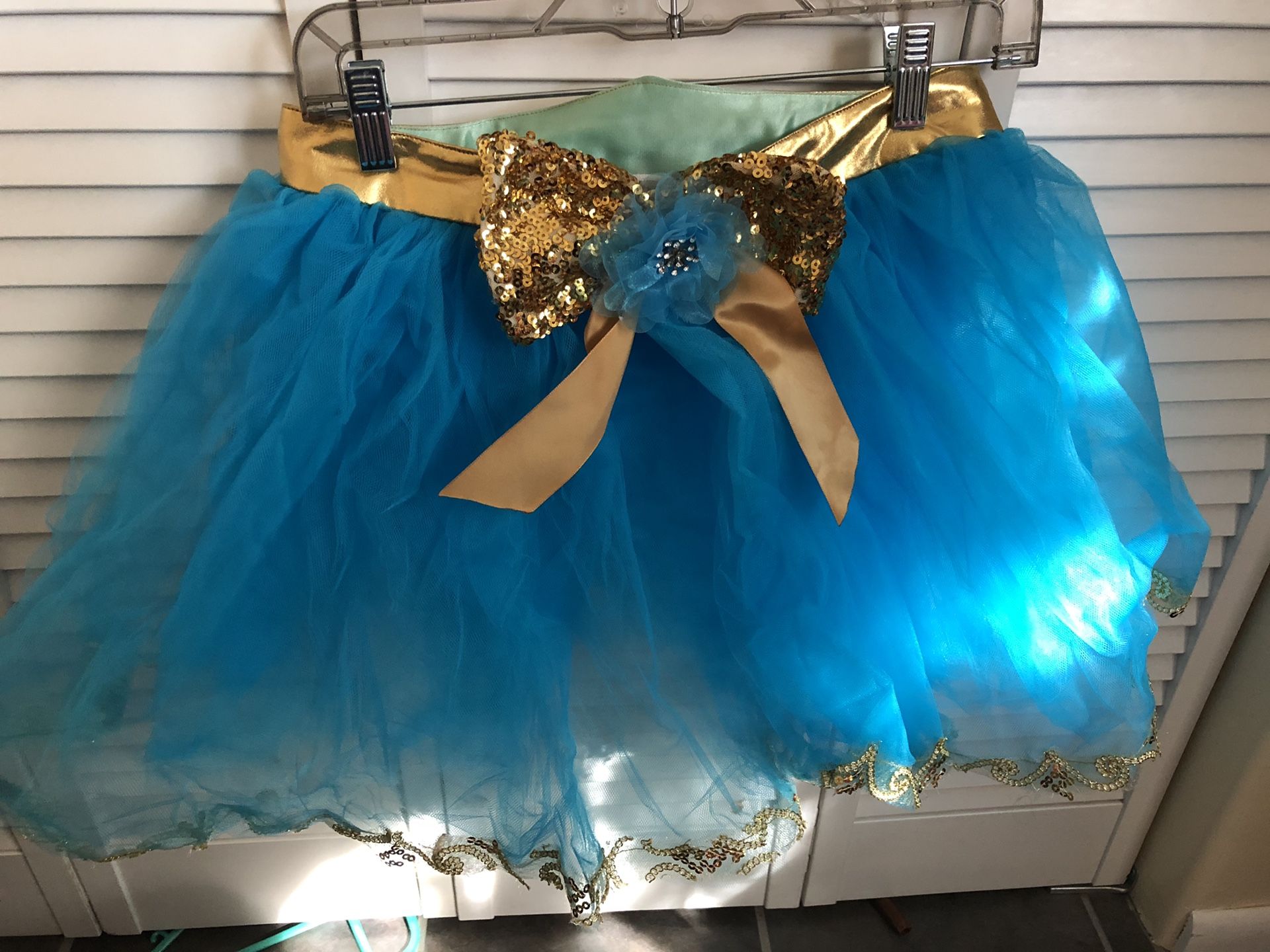 Jasmine Aladdin costume made tutu