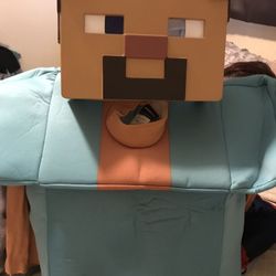 Minecraft Steve costume