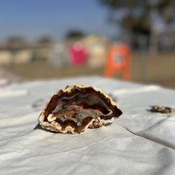 Agate Geode