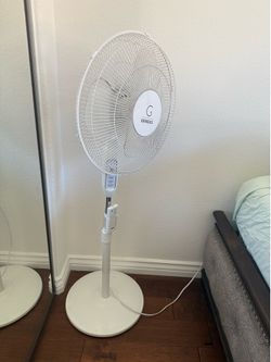 Genesis Pedestal Fan