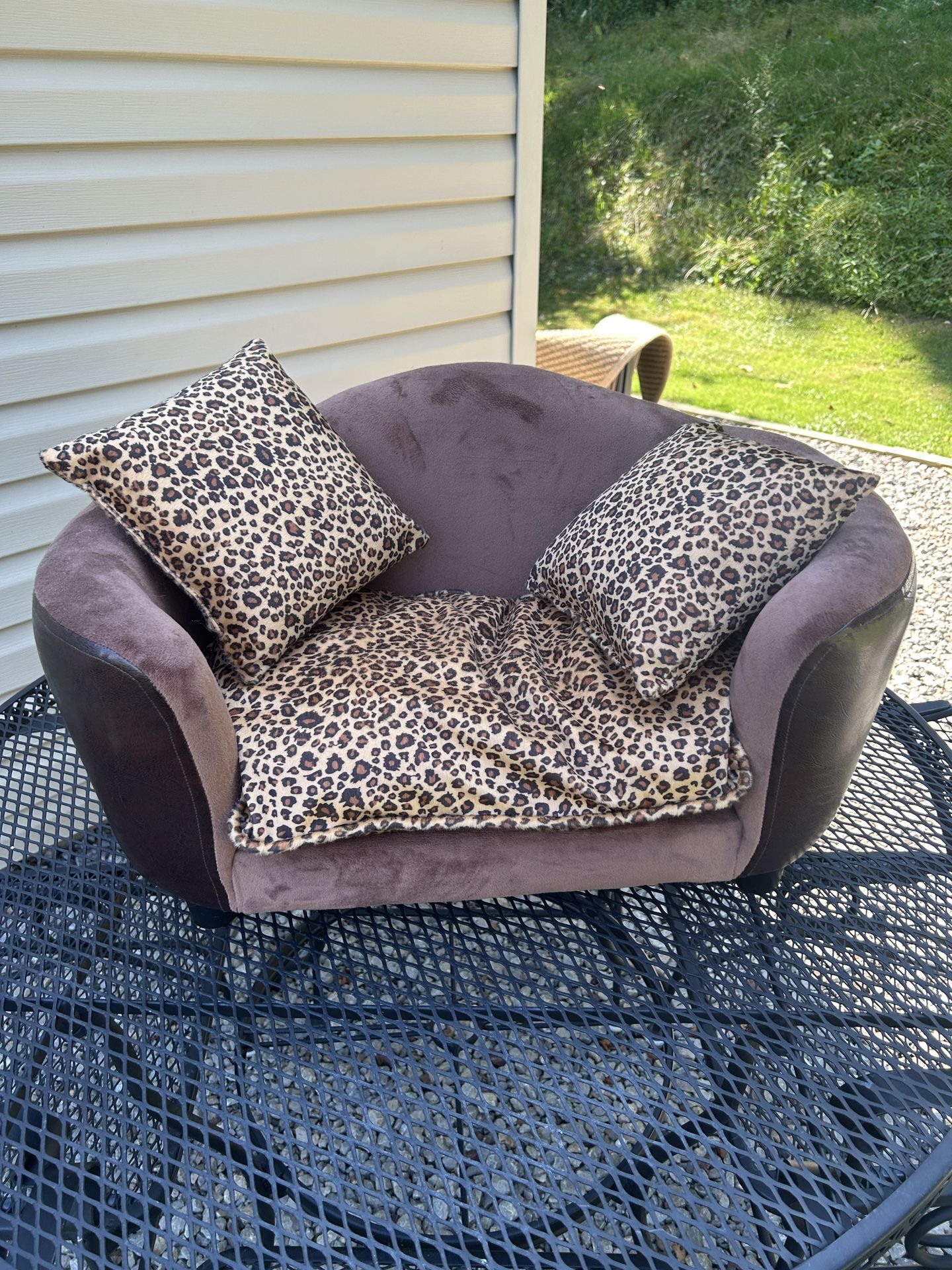 Cat Couch