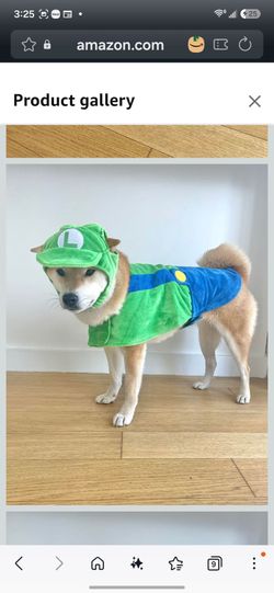 Luigi Dog Costume with Hat size: Medium