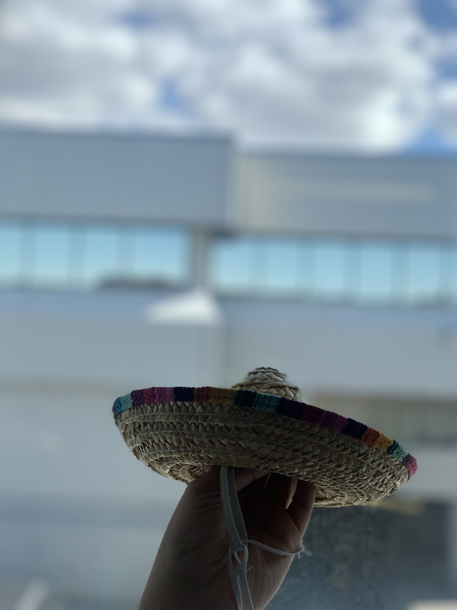 Dog Mexican Hat