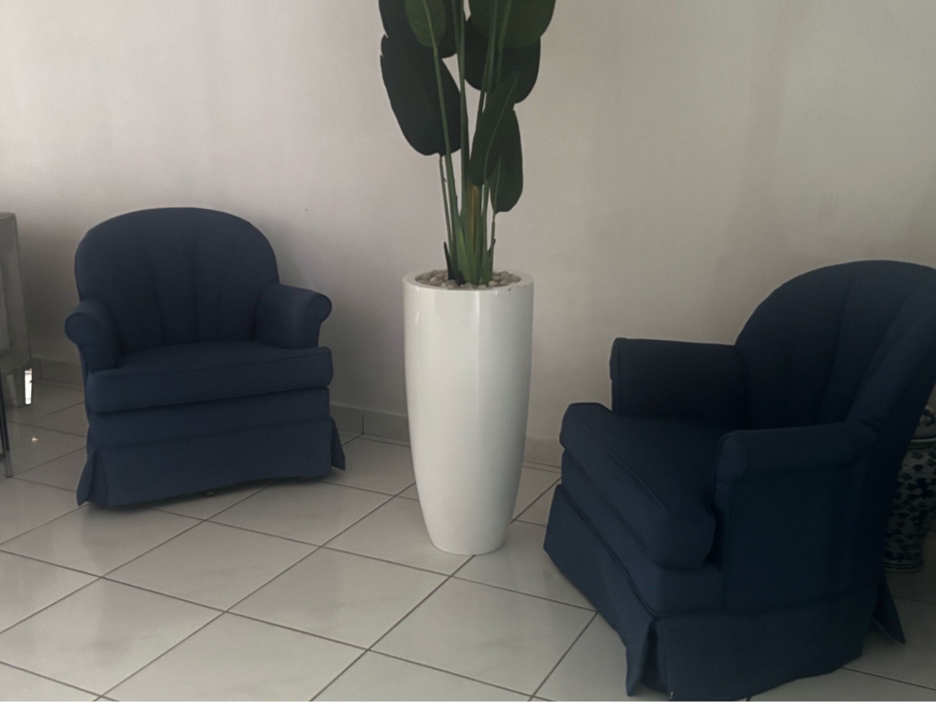 Blue Couches