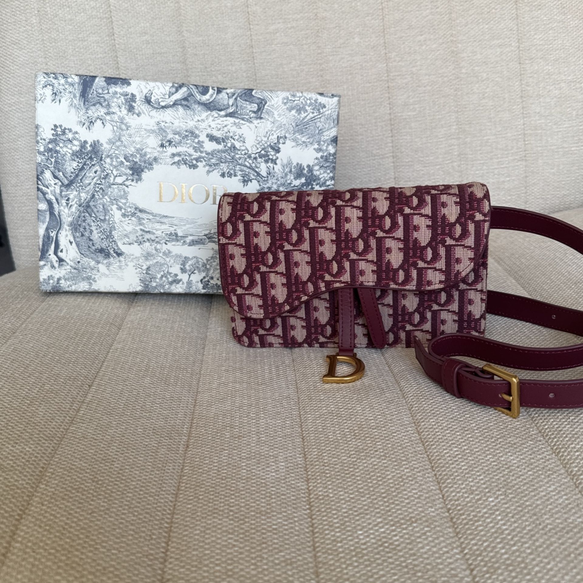 Dior Saddle Belt Pouch 