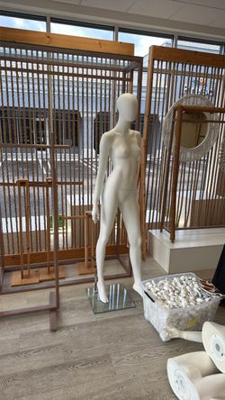 5  maniquís