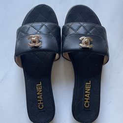 2025 Interlocking CC Logo Slides