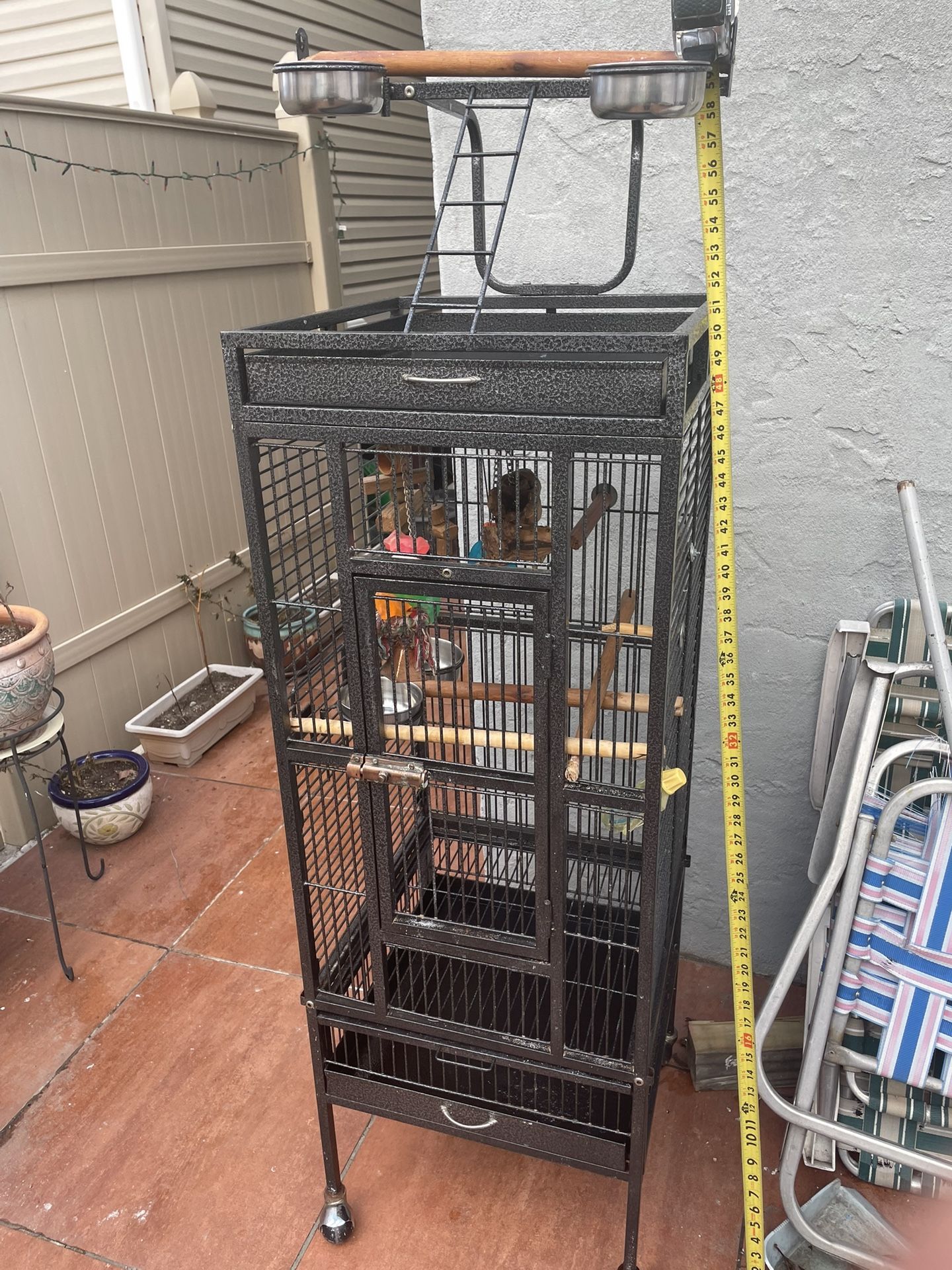 Parrot Cage