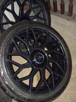 Rines R22