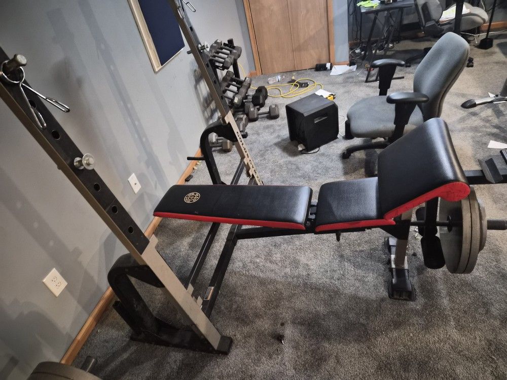 Weight Bench 