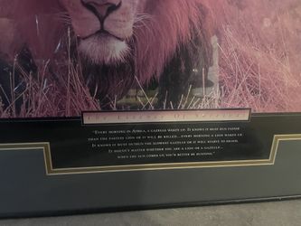 Essence Of Survival Lion Pic Frame Artwork