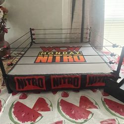 Custom Wcw Wrestlistic Ring