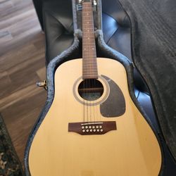 Seagull 12 String