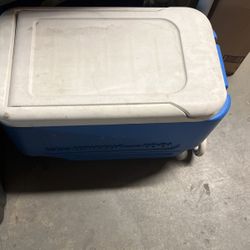 Igloo Cooler 