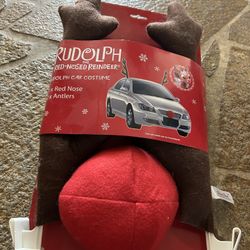 Car Costume 