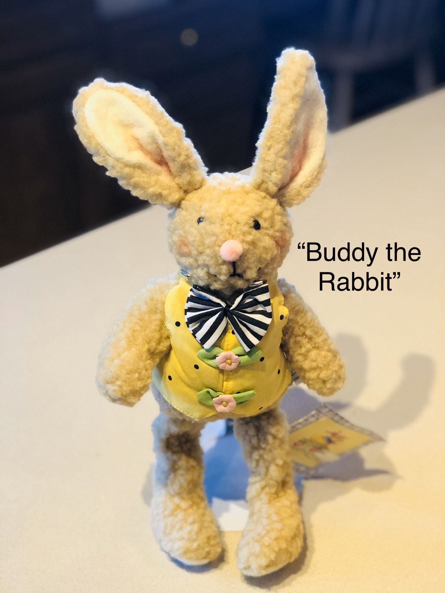 Mary Engelbreit Buddy the Rabbit Collectible Plush Toy