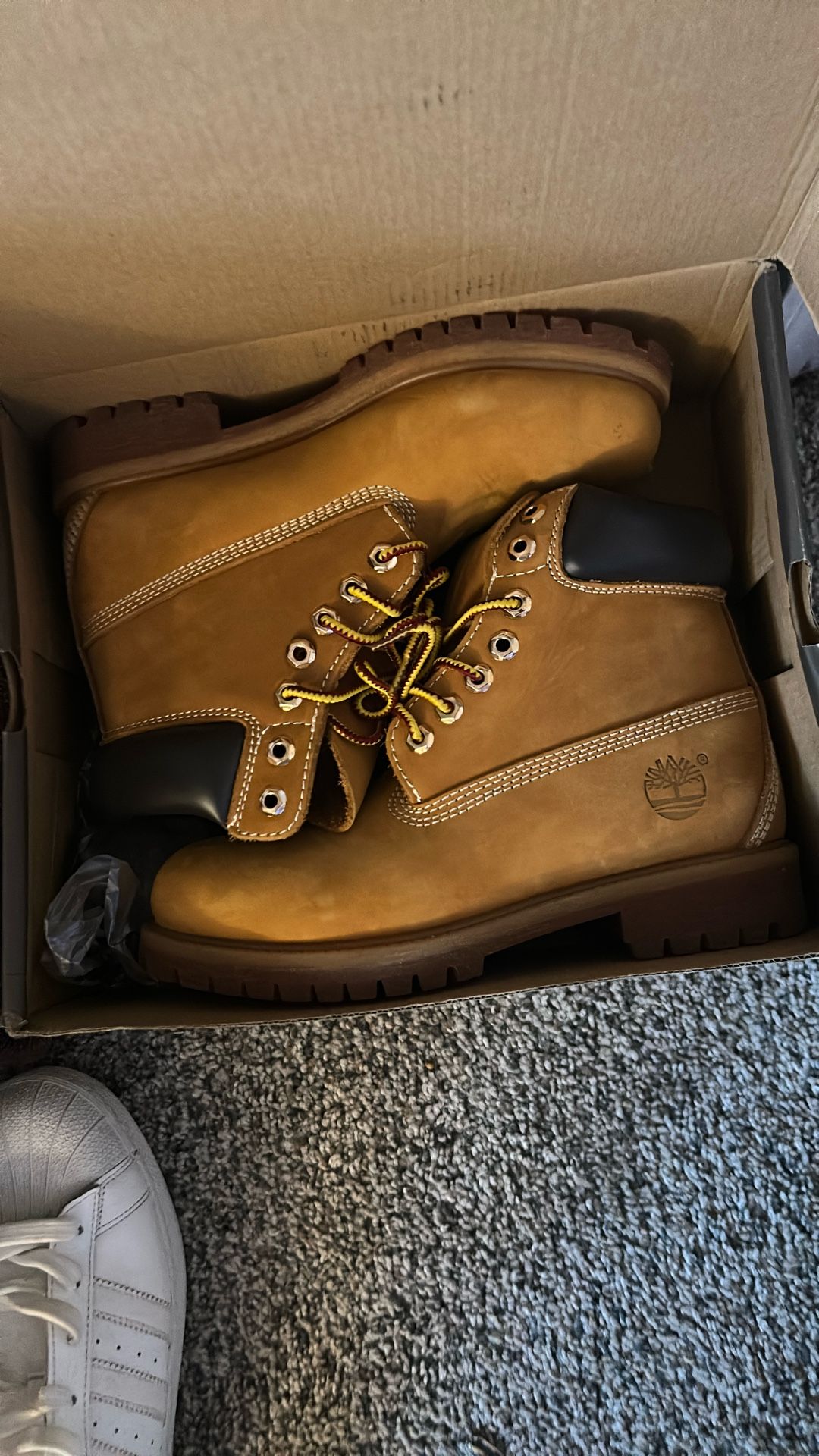 Timberland Size 7 In Men